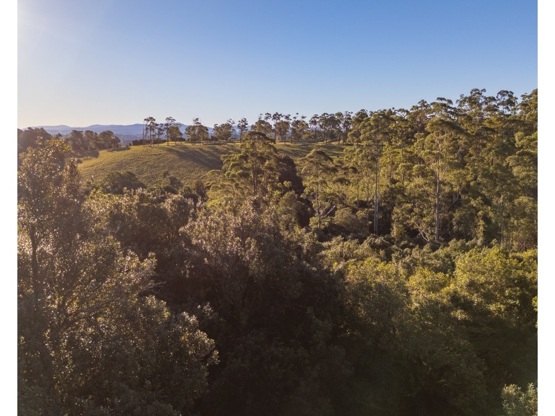 783 Fernleigh Road, Brooklet NSW 2479