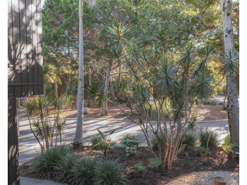 1/6 Firewheel Place, Suffolk Park NSW 2481