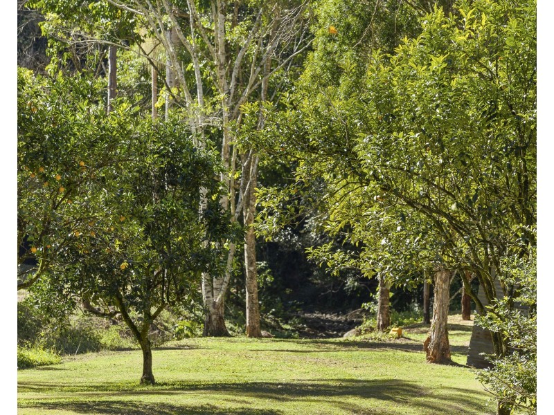 1363 Main Arm Road, Upper Main Arm NSW 2482