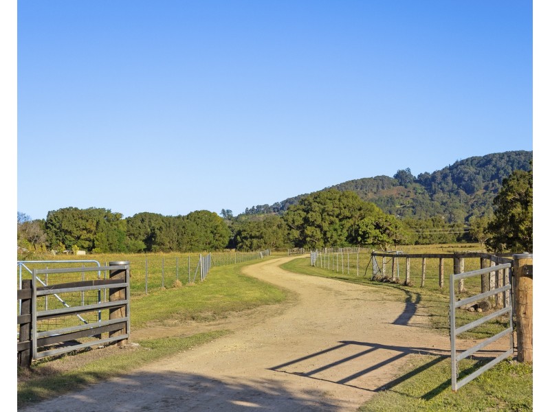 297 Left Bank Road, Mullumbimby NSW 2482