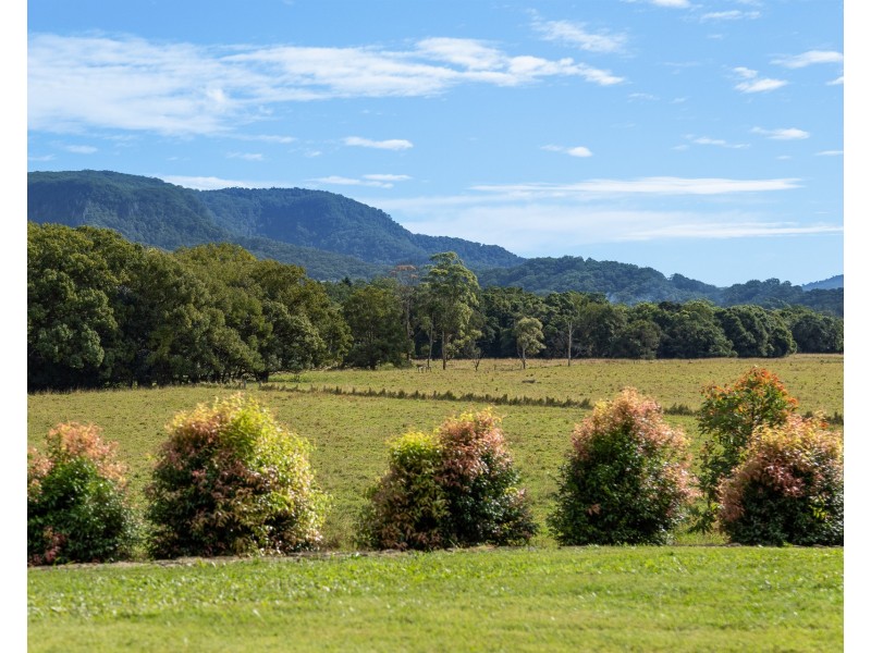 297 Left Bank Road, Mullumbimby NSW 2482