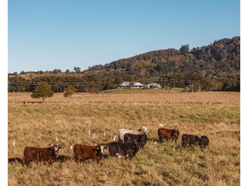 297 Left Bank Road, Mullumbimby NSW 2482