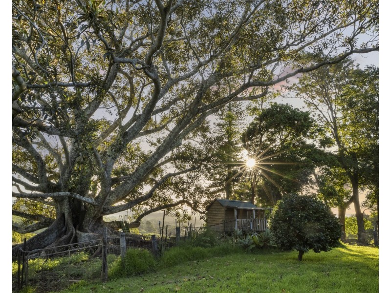 326 Booyong Road, Nashua NSW 2479