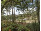14 Sherringtons Lane, The Pocket NSW 2483