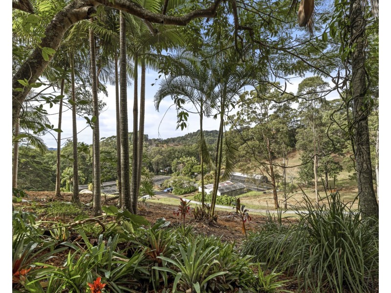14 Sherringtons Lane, The Pocket NSW 2483