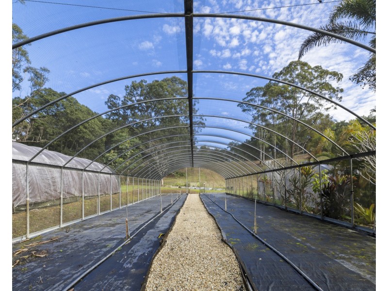 14 Sherringtons Lane, The Pocket NSW 2483