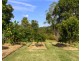 22 Coachwood Court, Federal NSW 2480