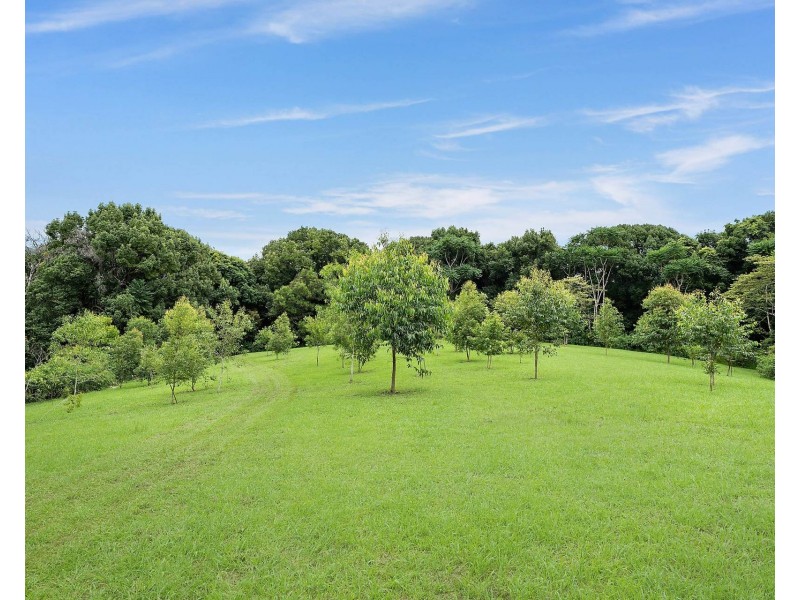 105 Monet Drive, Montecollum NSW 2482