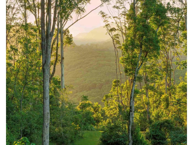 105 Monet Drive, Montecollum NSW 2482