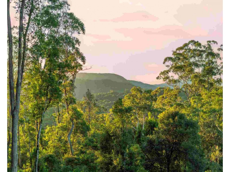 105 Monet Drive, Montecollum NSW 2482