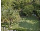 10 Seaview Street, Byron Bay NSW 2481