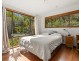 20 Friday Hut Road, Coorabell NSW 2479
