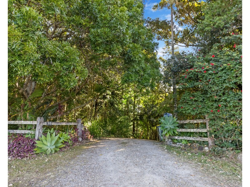 20 Friday Hut Road, Coorabell NSW 2479