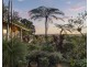 20 Friday Hut Road, Coorabell NSW 2479