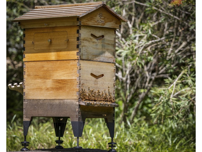 3 Weemala Lane, Federal NSW 2480