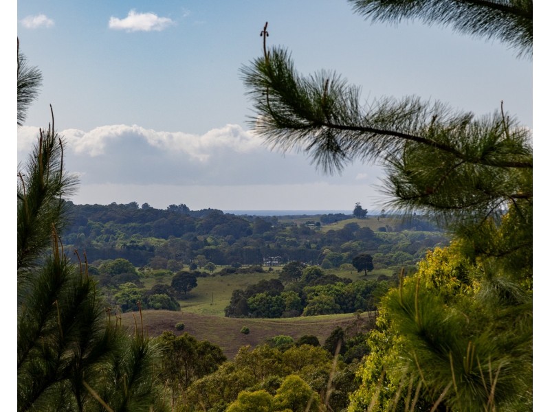 480 Left Bank Road, Mullumbimby Creek NSW 2482