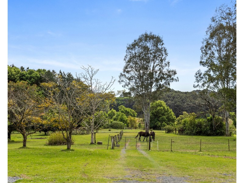 480 Left Bank Road, Mullumbimby Creek NSW 2482