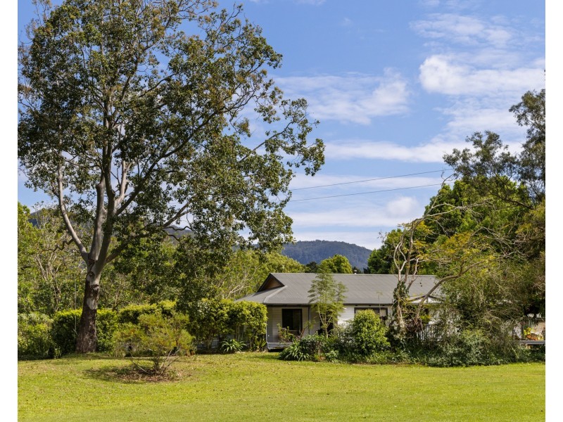 480 Left Bank Road, Mullumbimby Creek NSW 2482