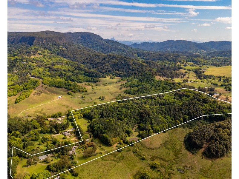 480 Left Bank Road, Mullumbimby Creek NSW 2482