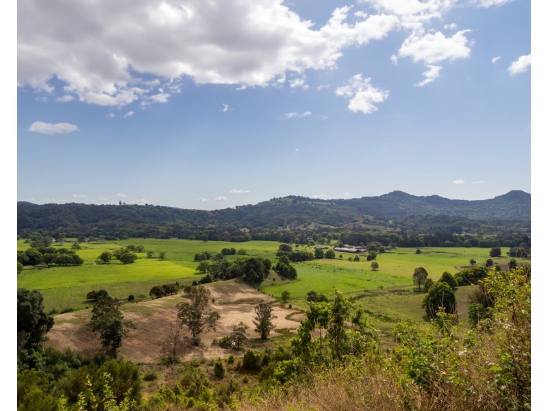 480 Left Bank Road, Mullumbimby Creek NSW 2482