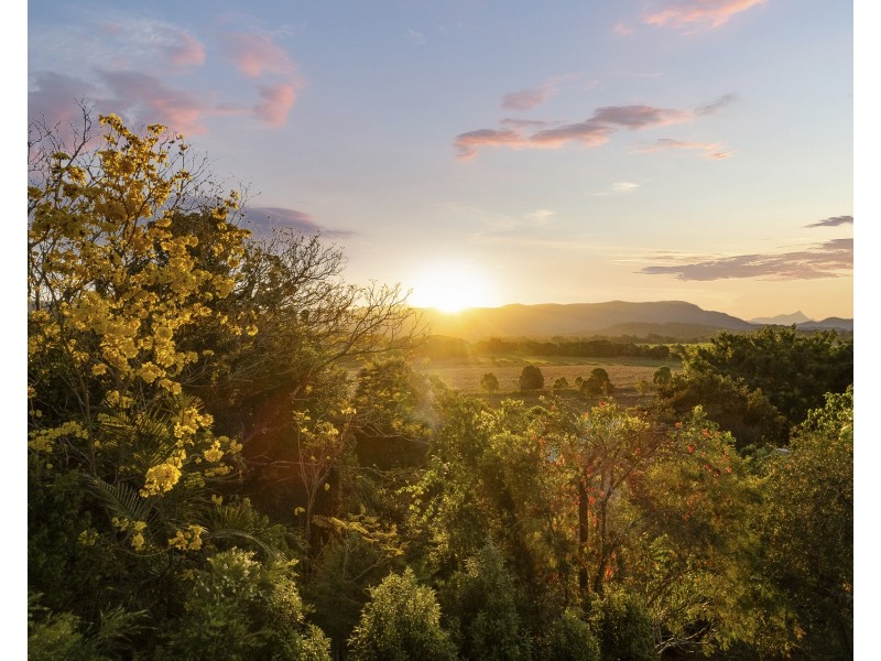 10 Muli Court, Myocum NSW 2481