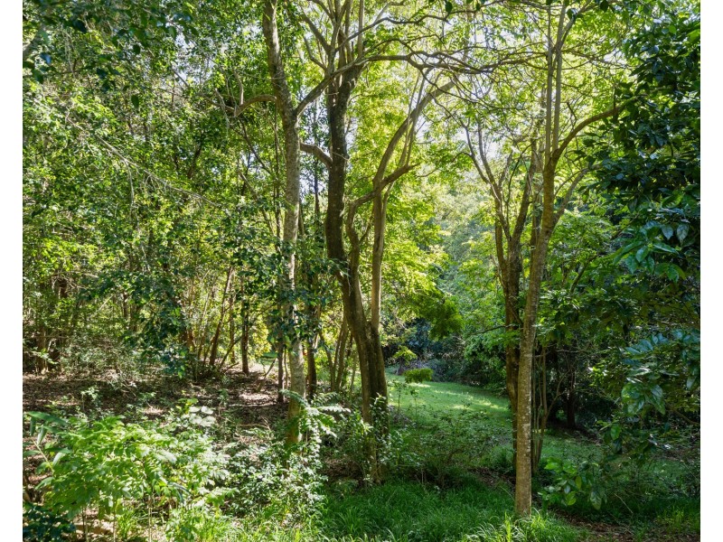 16 Henderson Place, Modanville NSW 2480