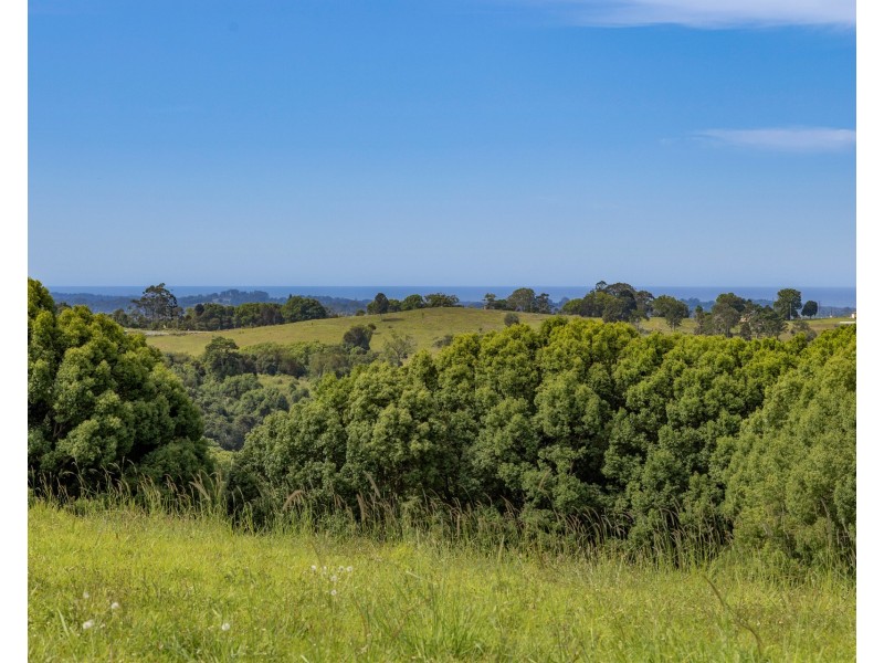 375 Coorabell Road, Coorabell NSW 2479