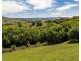 375 Coorabell Road, Coorabell NSW 2479