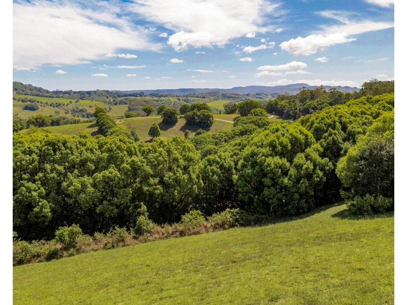375 Coorabell Road, Coorabell NSW 2479