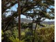 375 Coorabell Road, Coorabell NSW 2479