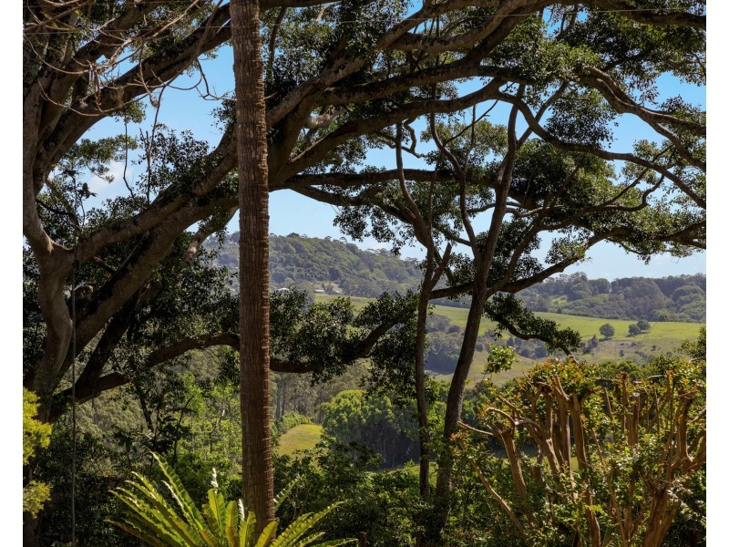 375 Coorabell Road, Coorabell NSW 2479