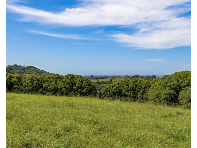 375 Coorabell Road, Coorabell NSW 2479