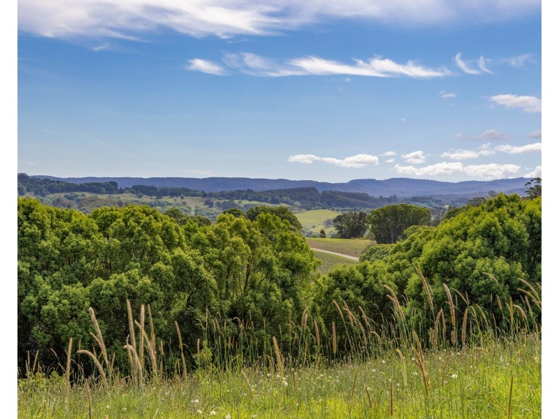 375 Coorabell Road, Coorabell NSW 2479