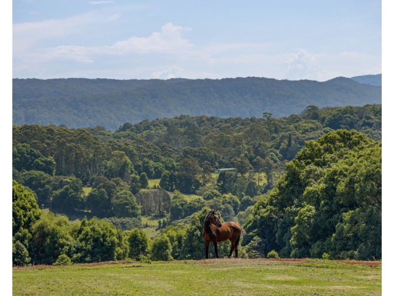 835 Federal Drive, Goonengerry NSW 2482