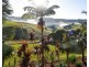 346 Coorabell Road, Coorabell NSW 2479