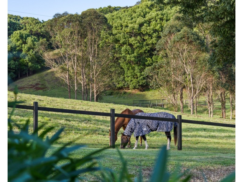 188 Friday Hut Road, Tintenbar NSW 2478