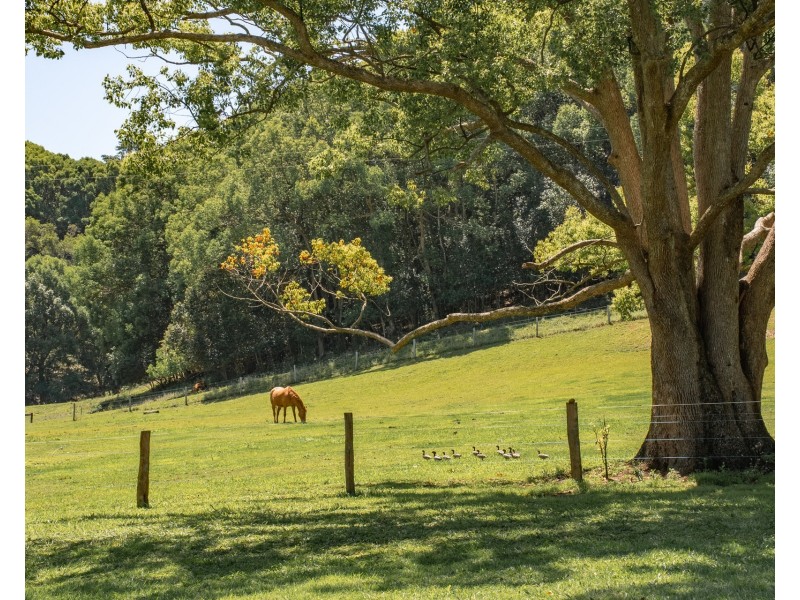 188 Friday Hut Road, Tintenbar NSW 2478