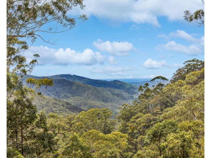 97 Middle Ridge Road, Upper Main Arm NSW 2482