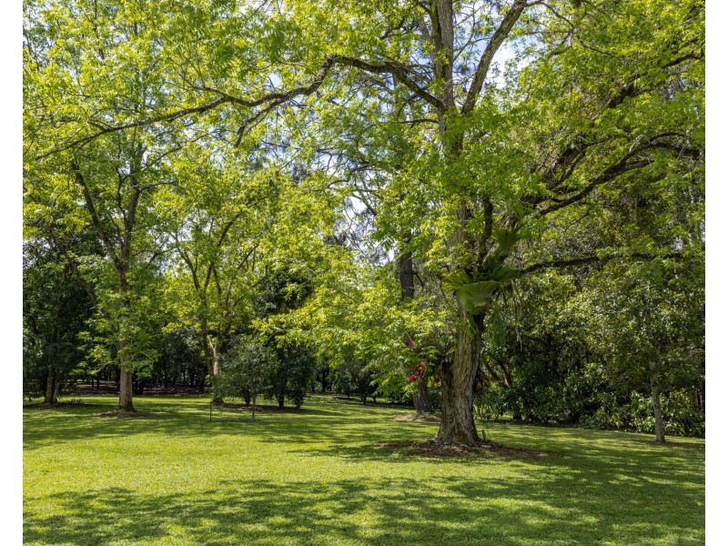 147 Whian Whian Road, Whian Whian NSW 2480