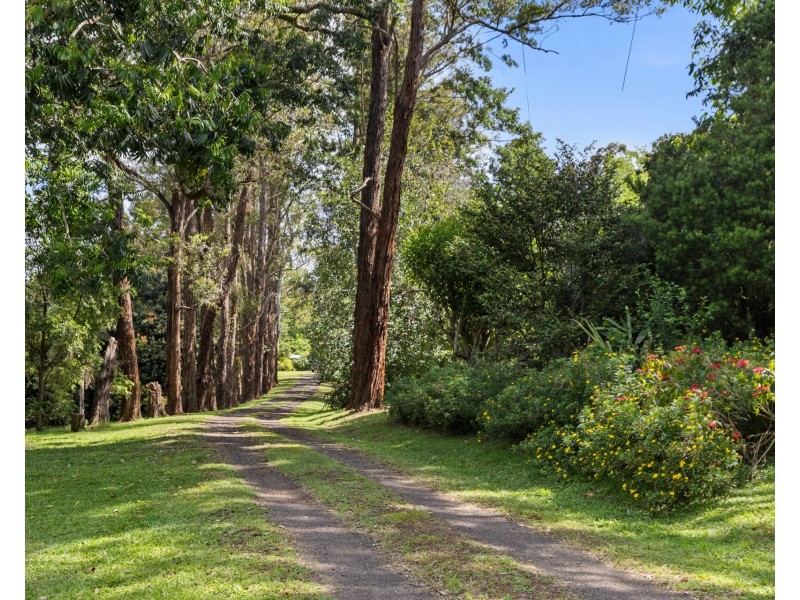 147 Whian Whian Road, Whian Whian NSW 2480