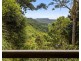 147 Whian Whian Road, Whian Whian NSW 2480