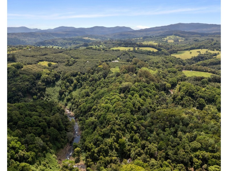 147 Whian Whian Road, Whian Whian NSW 2480