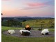 1145 Friday Hut Road, Binna Burra NSW 2479