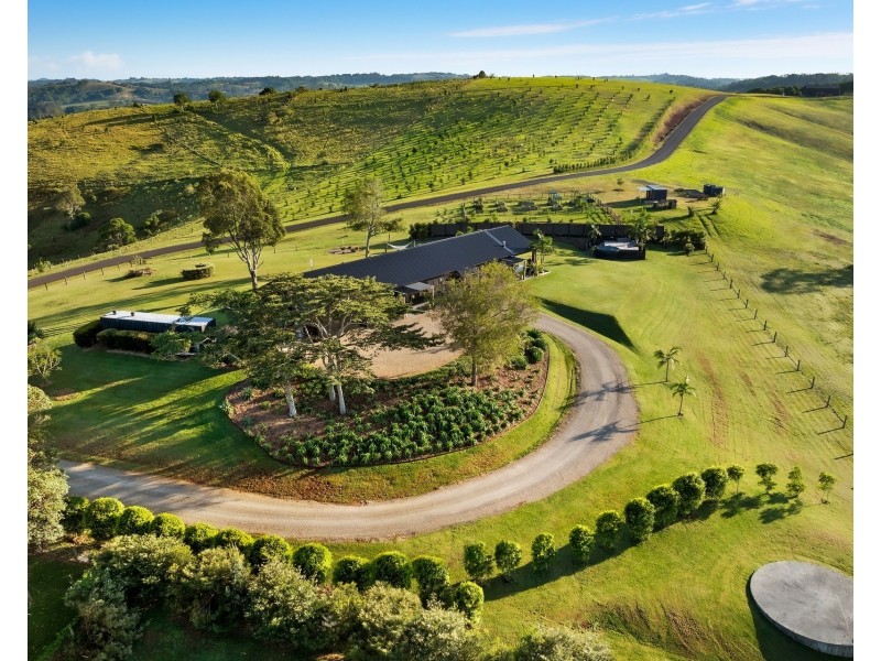 1145 Friday Hut Road, Binna Burra NSW 2479