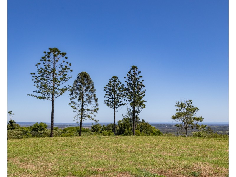 20 Cooks Lane, Meerschaum Vale NSW 2477