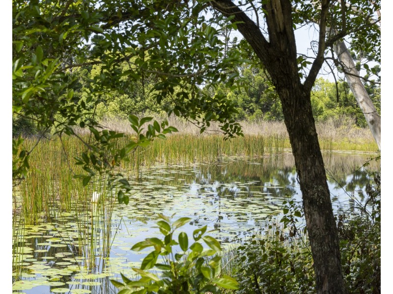 20 Cooks Lane, Meerschaum Vale NSW 2477