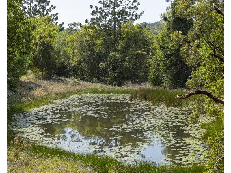 20 Cooks Lane, Meerschaum Vale NSW 2477