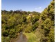 36 Keys Road, Coorabell NSW 2479