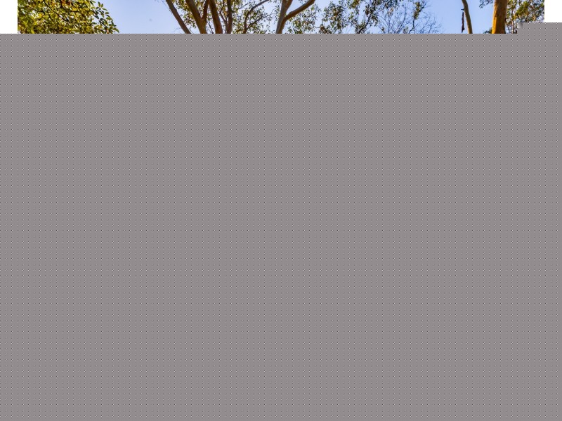 12/213 Coorabell Road, Coorabell NSW 2479