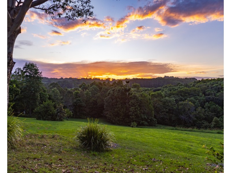 12/213 Coorabell Road, Coorabell NSW 2479